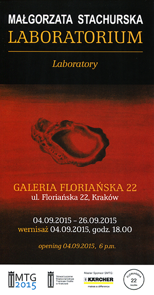 [mtg 2015] Małgorzata Stachurska. Laboratory | Accompanying Programme of the MTG - Kraków 2015