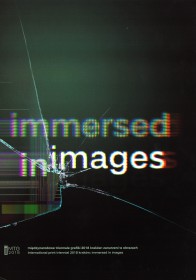 Immersed in Images